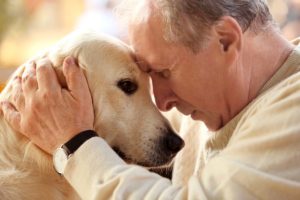 Beneficio de las mascotas a los mayores soledad