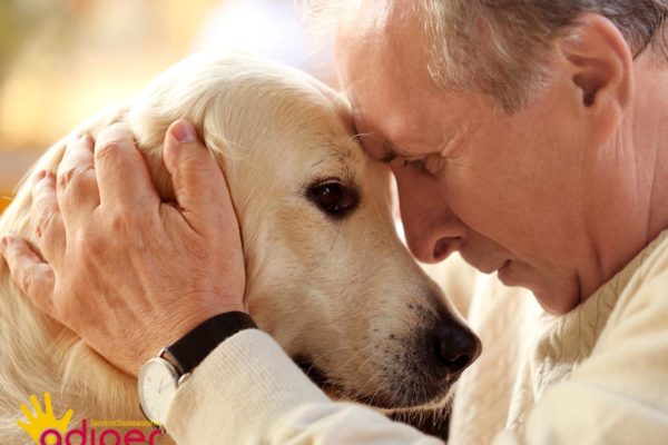 Beneficio de las mascotas a los mayores destacada