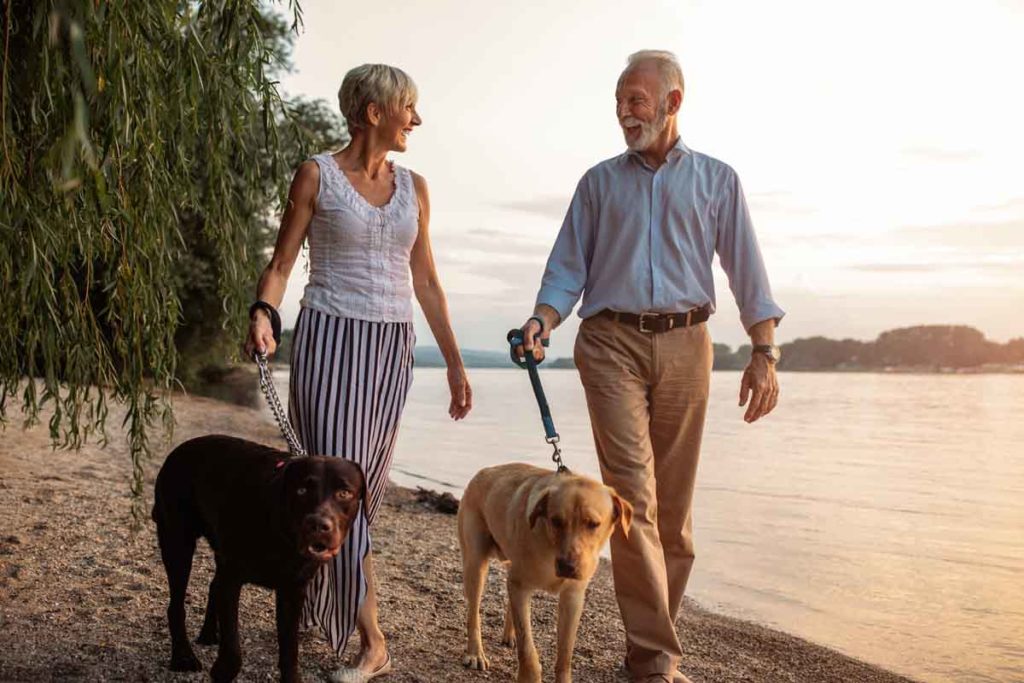 beneficio de las mascotas a los mayores pareja paseando al perro