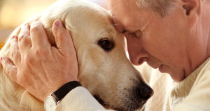 Beneficio de las mascotas a los mayores share