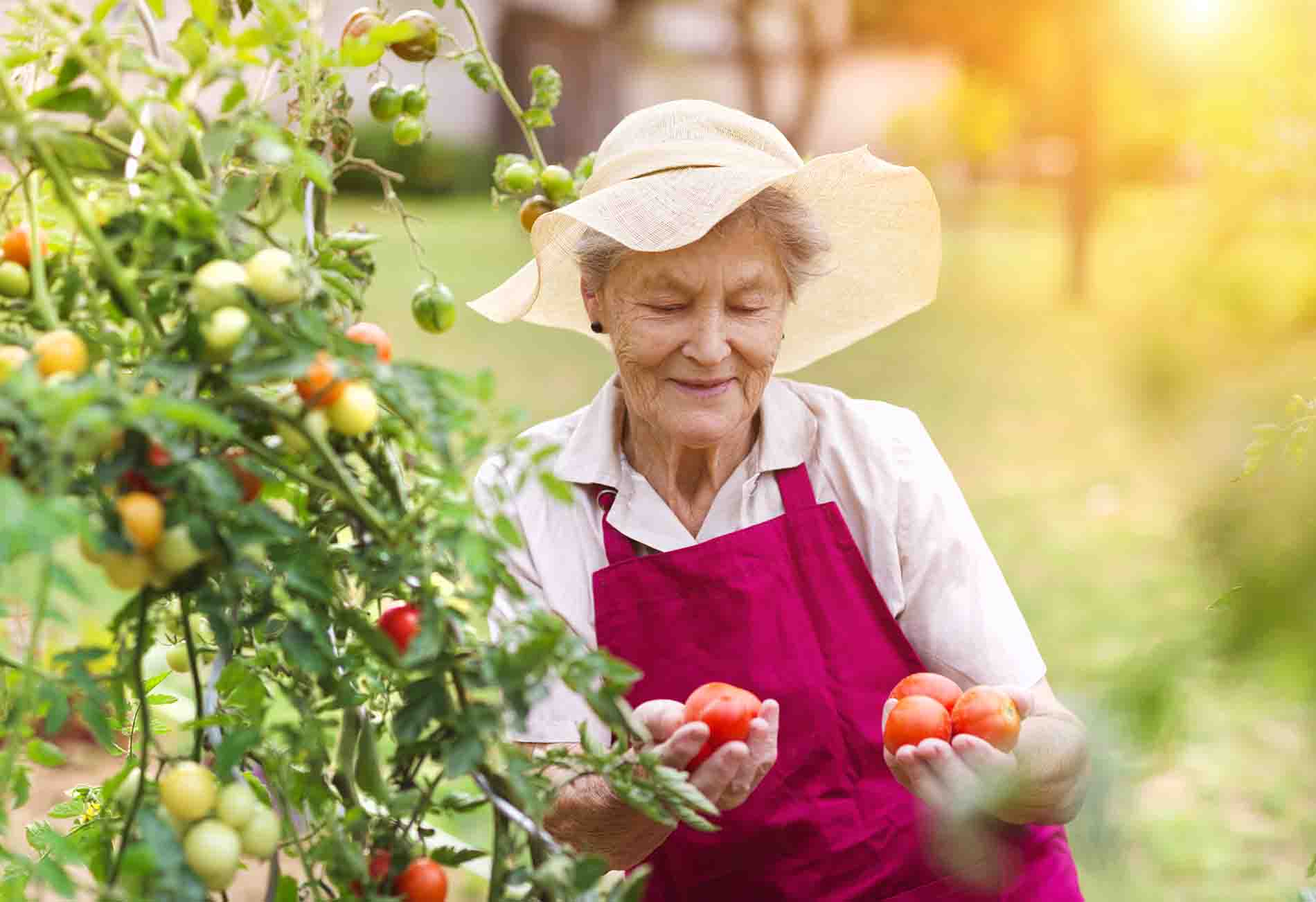 Alimentación en verano fruta fresca